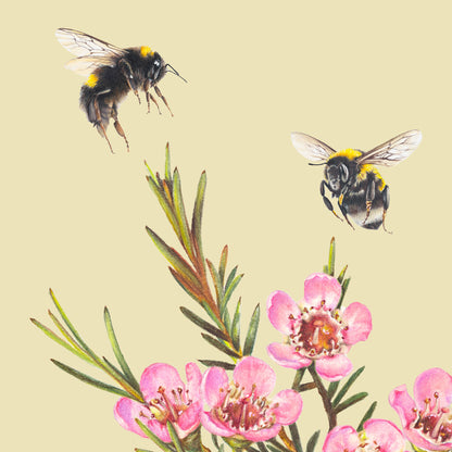 Bumble Bee & Wax Flowers Greeting Card