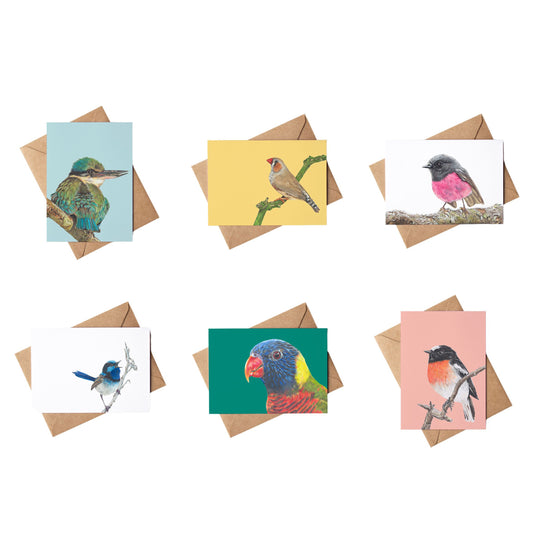 Birdlife Greeting Card 6 pack