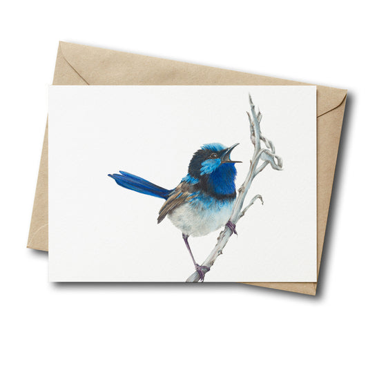 Blue Wren Greeting Card