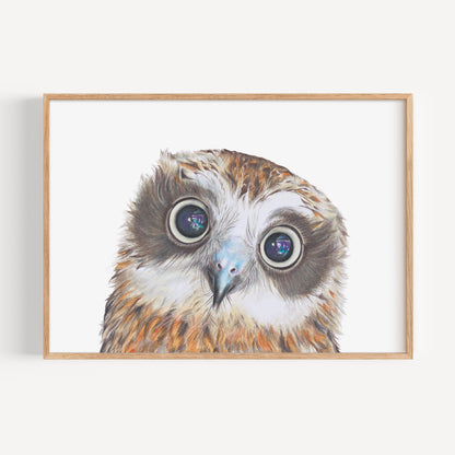 Boobook Owl Fine Art Print