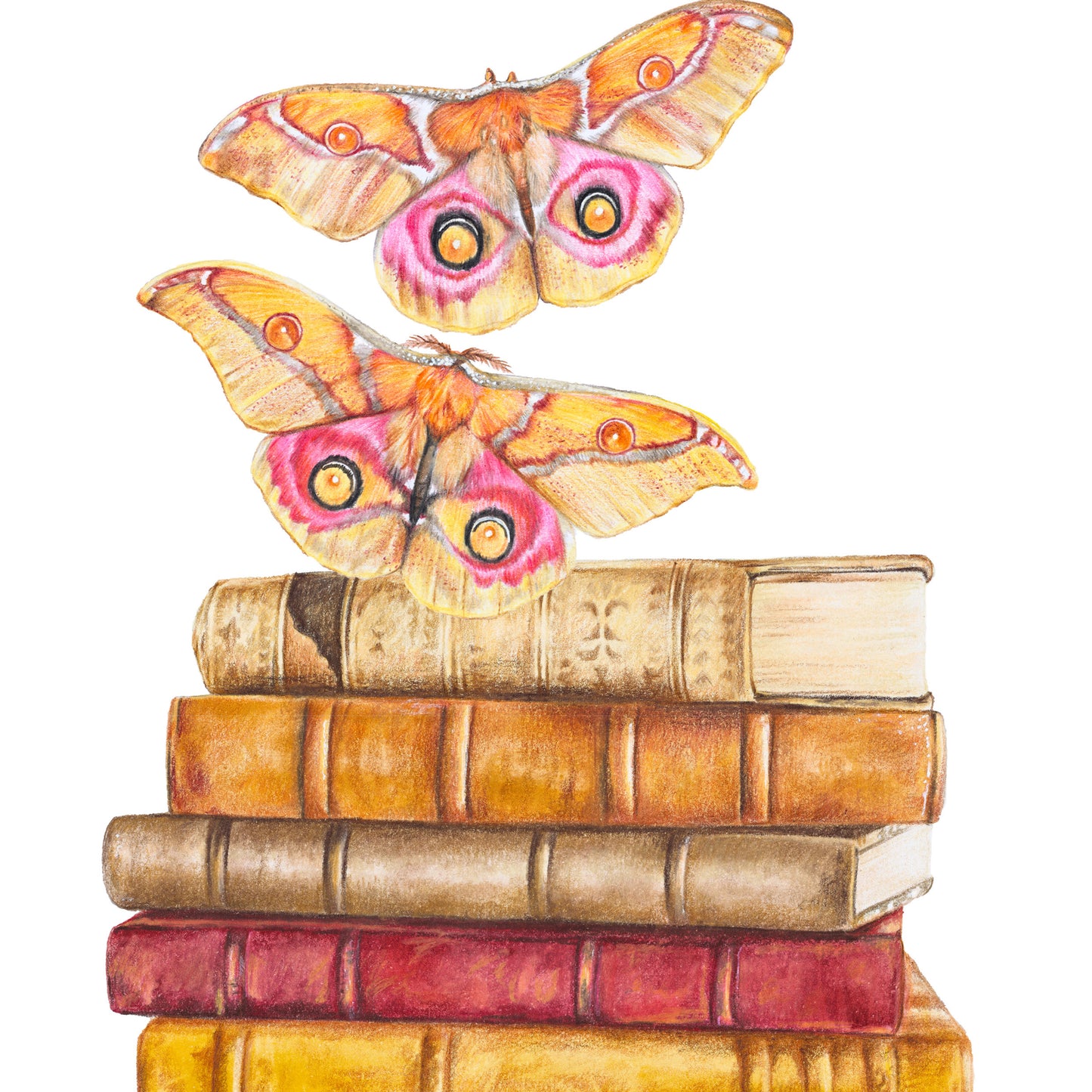 Book Lovers Fine Art Print