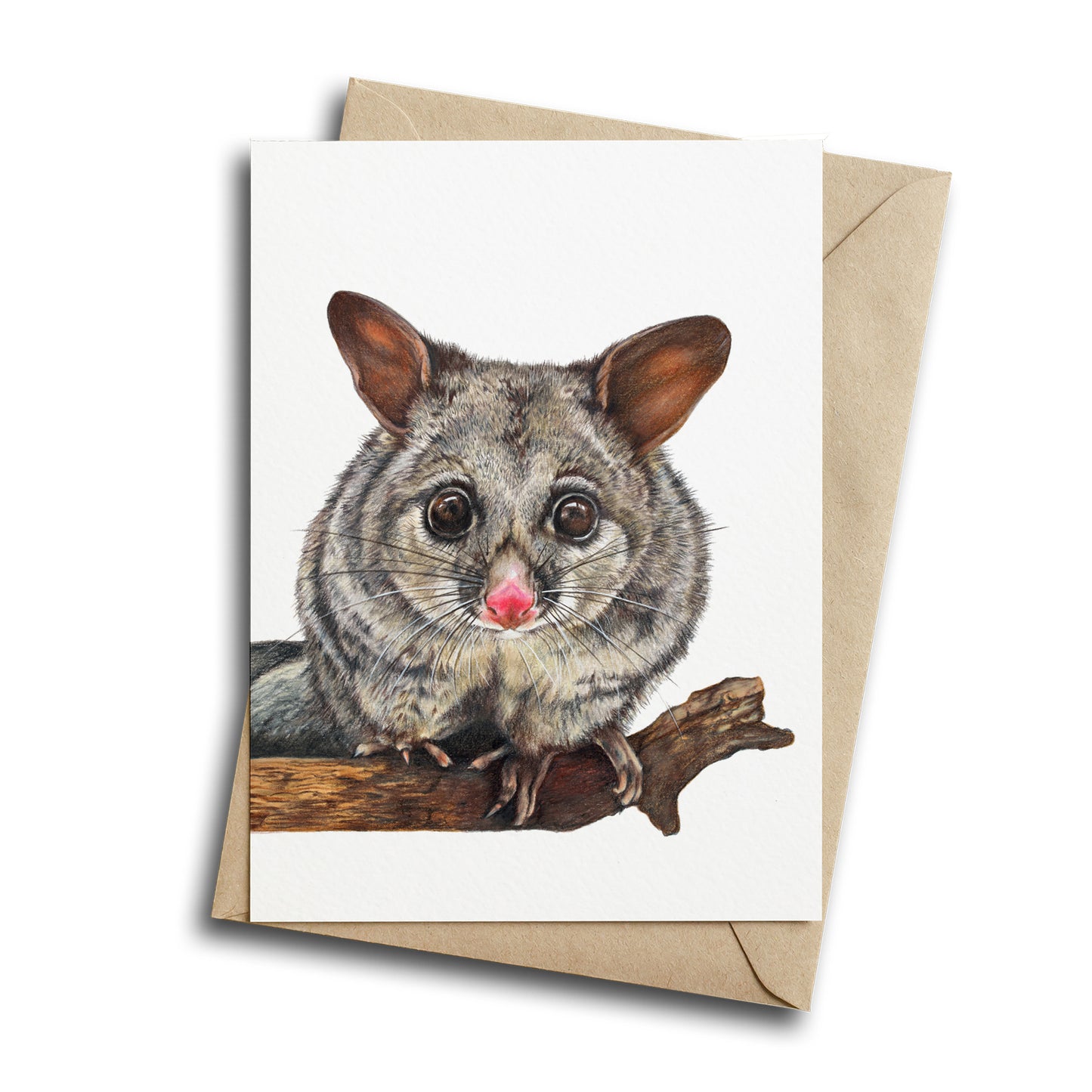 Brushtail Possum Greeting Card