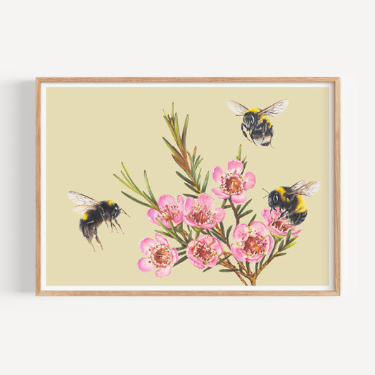 Bumble Bees & Wax flowers Fine Art Print - landscape