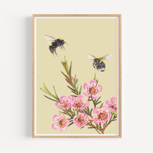 Bumble Bees & Wax flowers Fine Art Print - portrait