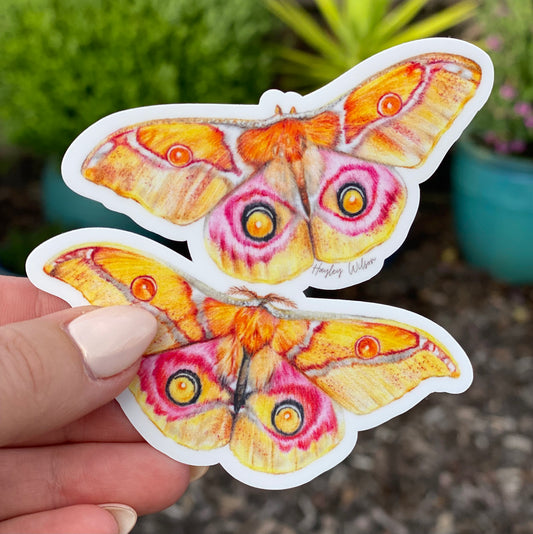 Emperor Moth Sticker