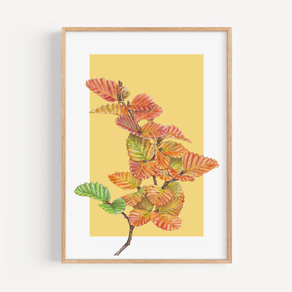 Nothefagus/yellow Fine Art Print