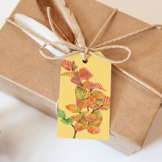 Nothefagus/yellow Gift Tags - set of 6