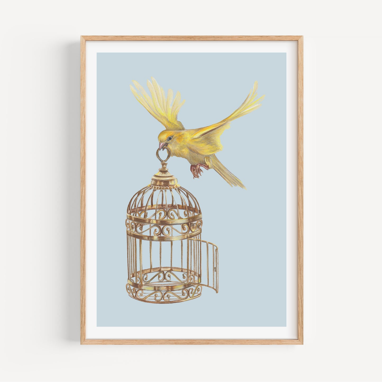 Flying Free Fine Art Print