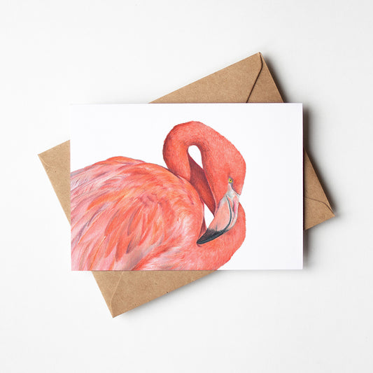 Great Flamingo Greeting Card