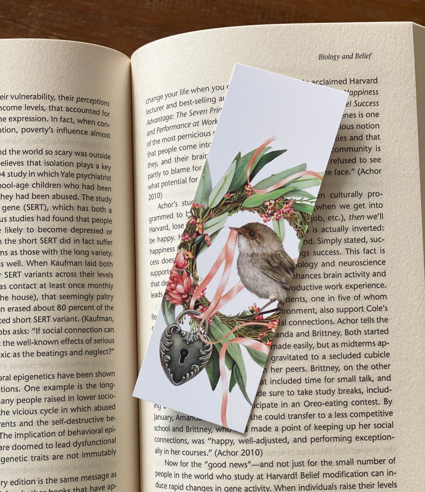 Superb Fairy Wren Bookmark