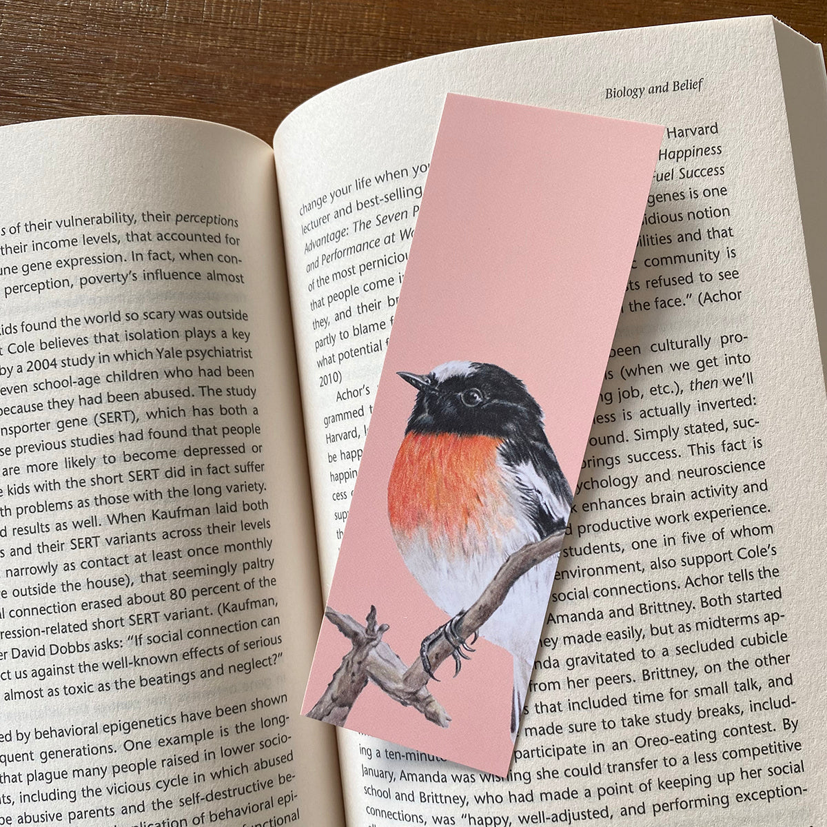 Scarlet Robin Bookmark