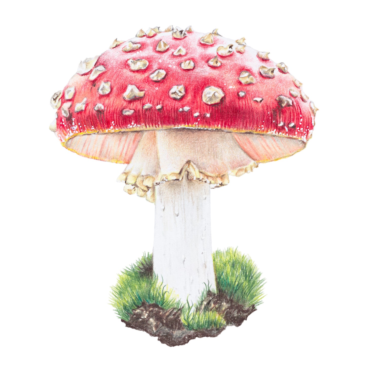 Magic Mushroom Fine Art Print