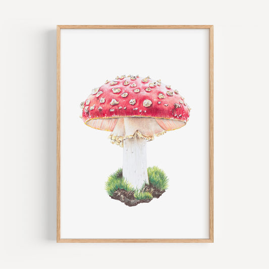 Magic Mushroom Fine Art Print