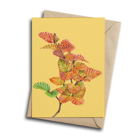 Nothefagus Greeting Card