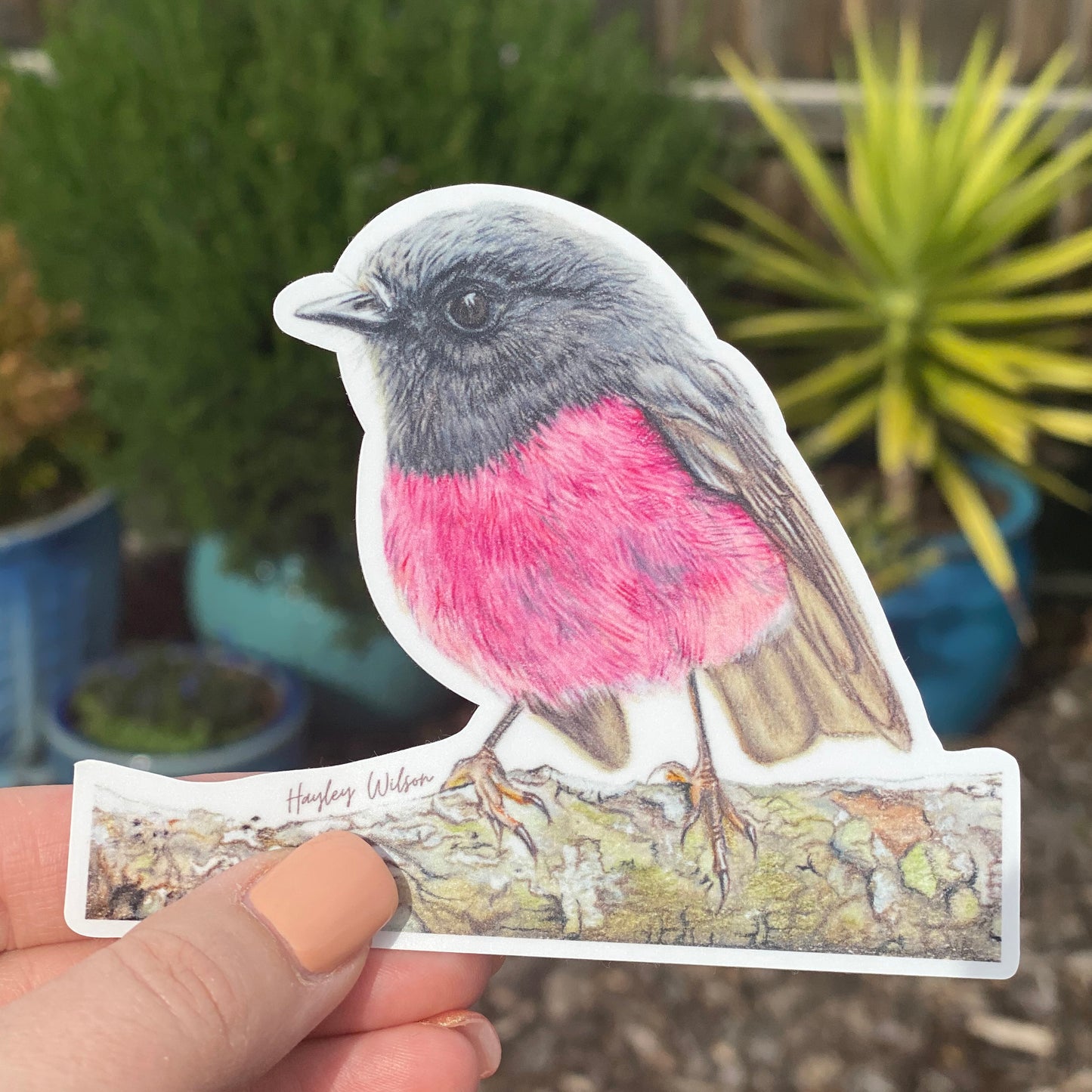 Pink Robin Sticker