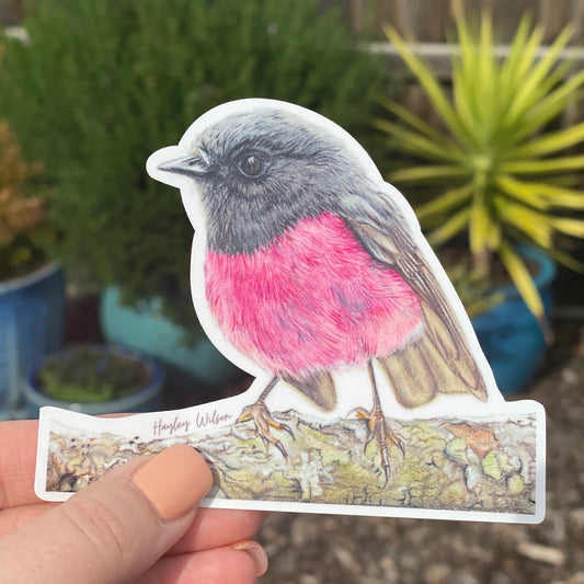 Pink Robin Sticker