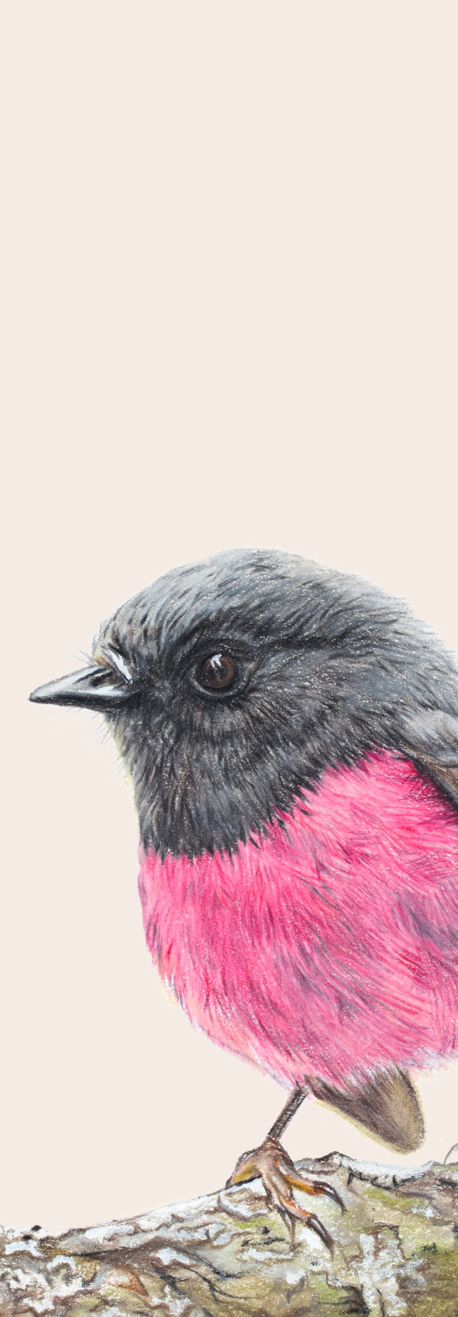 Pink Robin Bookmark