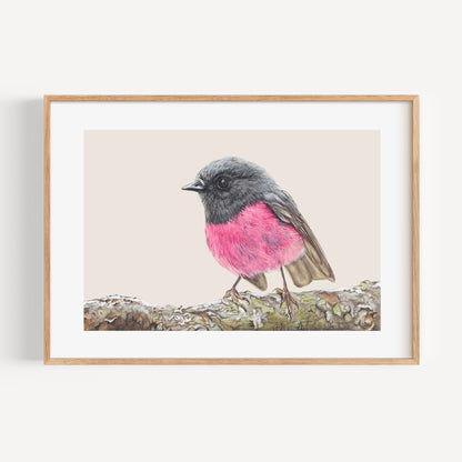 Pink Robin/pink Fine Art Print