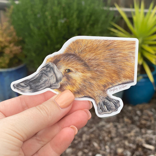 Platypus Sticker