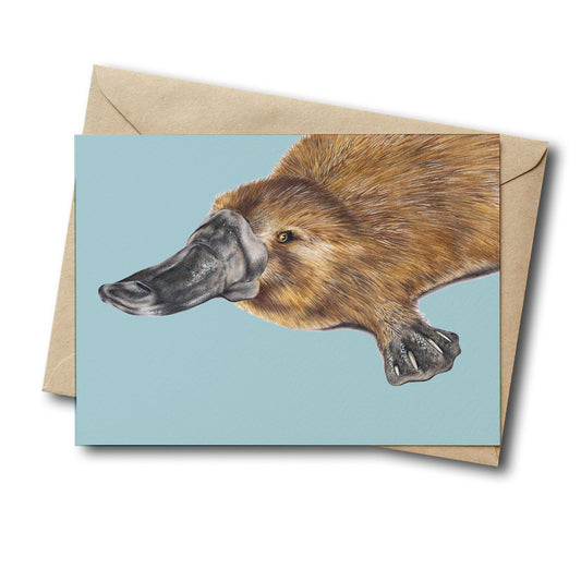 Platypus/blue Greeting Card