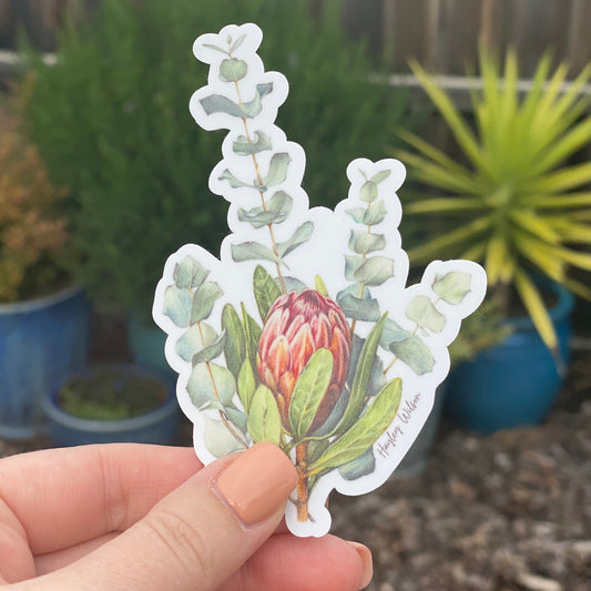 Protea & Eucalyptus Sticker