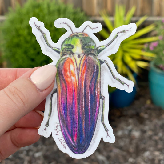 Rainbow Scarab Beetle Sticker