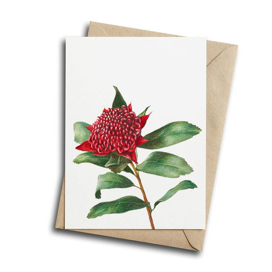 Waratah Greeting Card