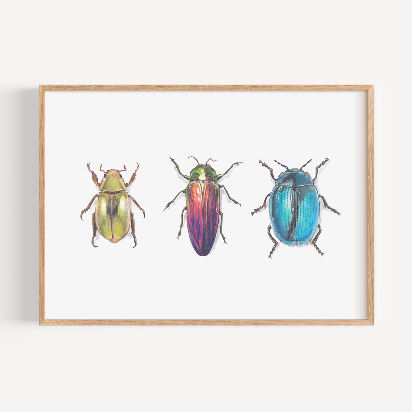 Scarab Beetles Fine Art Print