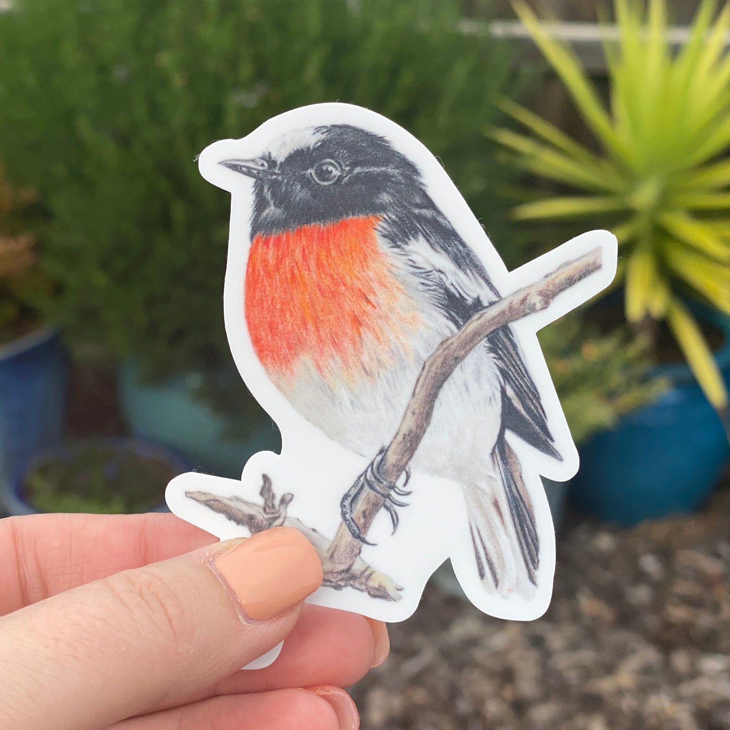 Scarlet Robin Sticker