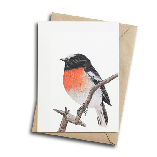 Scarlet Robin Greeting Card