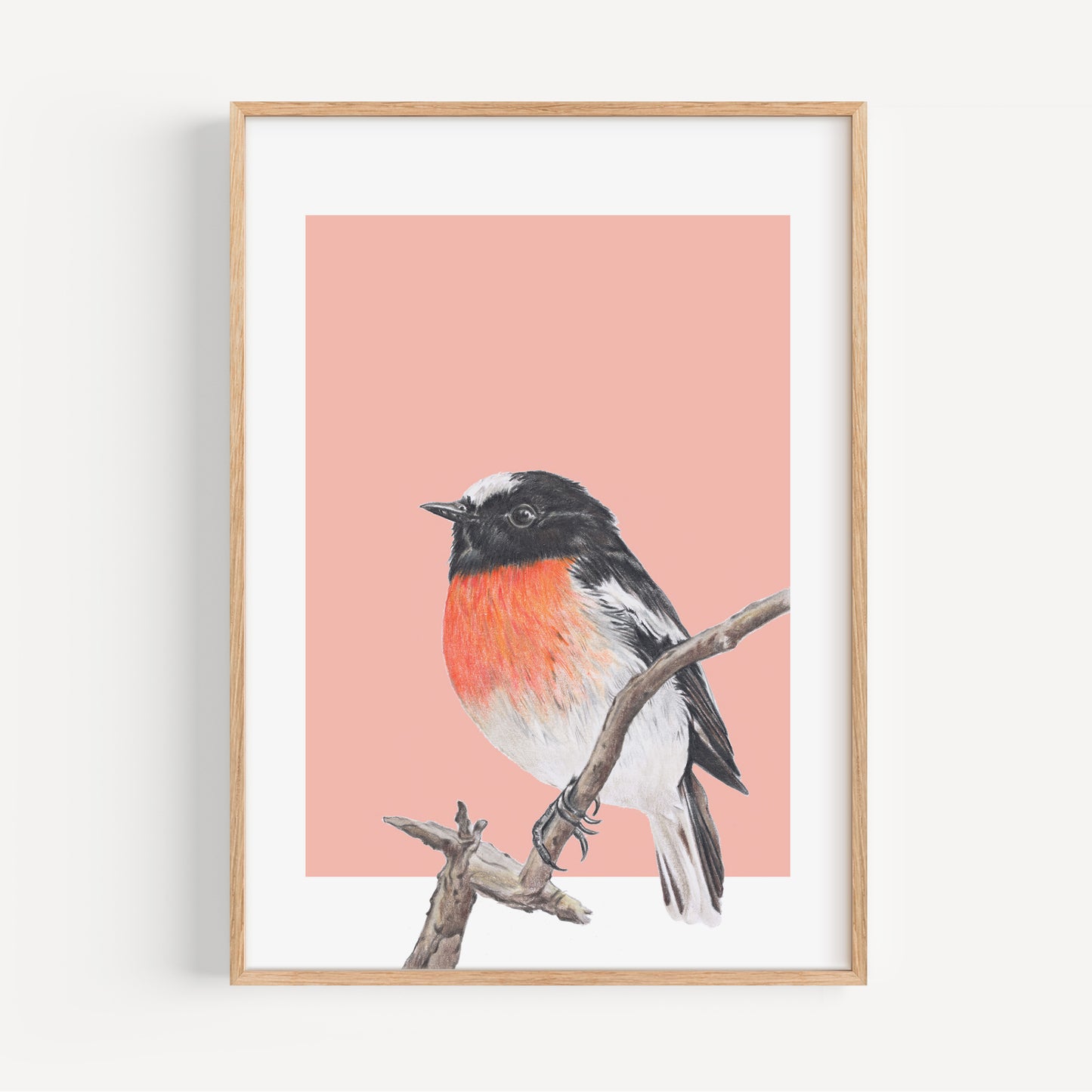 Scarlet Robin/peach Fine Art Print