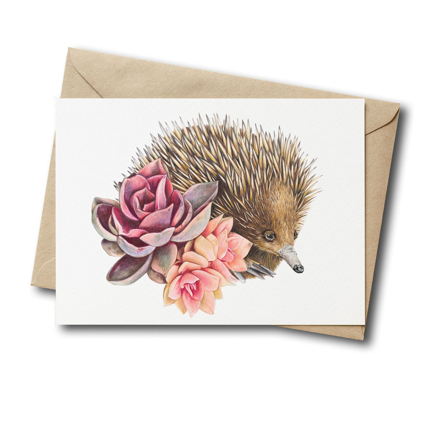 Short-beaked Echidna Greeting Card