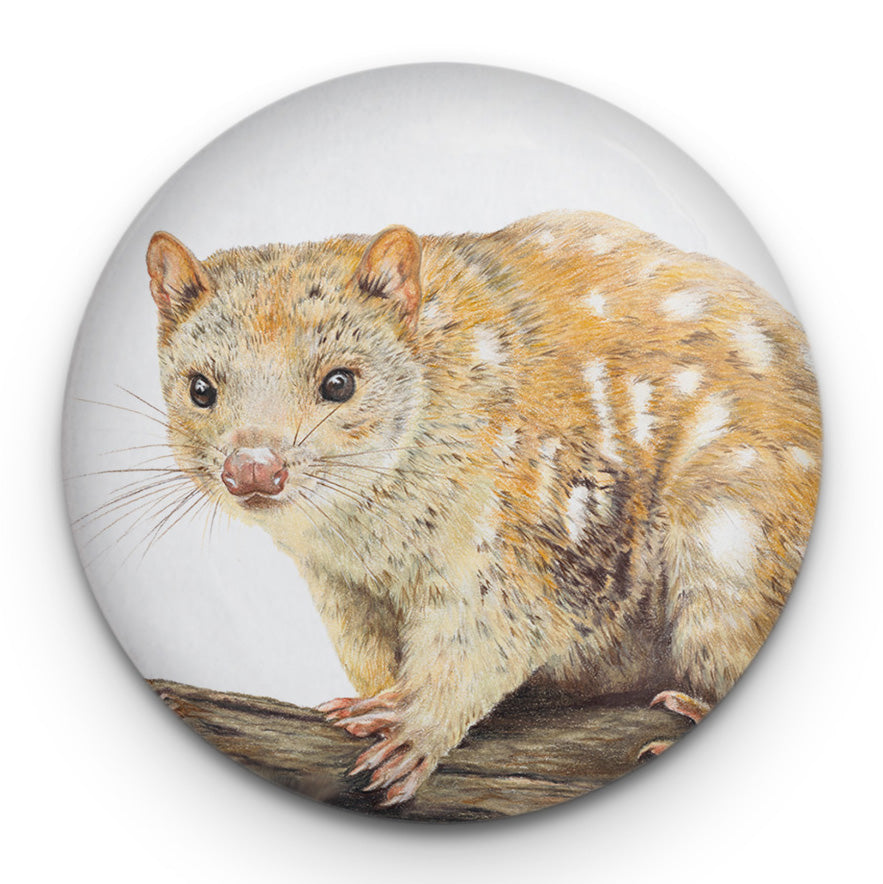 Spotted-tailed Quoll Magnet