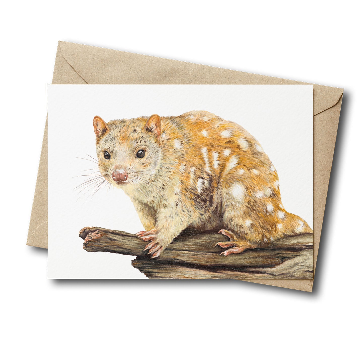 Spotted-tailed Quoll Greeting Card