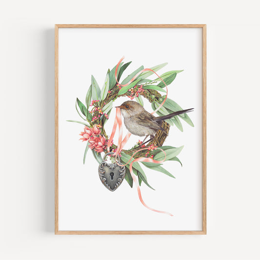 Superb Fairy Wren Fine Art Print