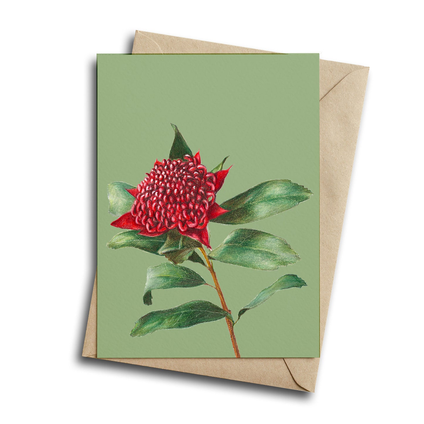 Waratah/green Greeting Card