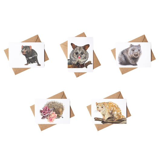 Wildlife Greeting Card 5 pack
