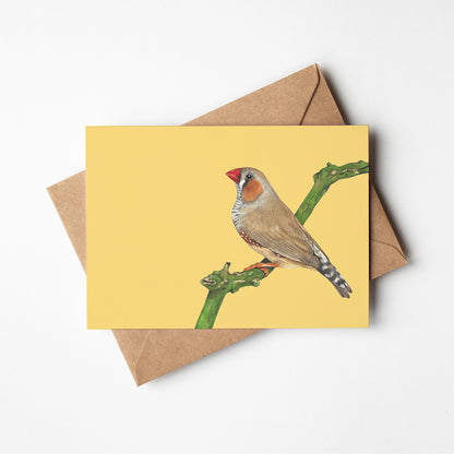 Birdlife Greeting Card 6 pack