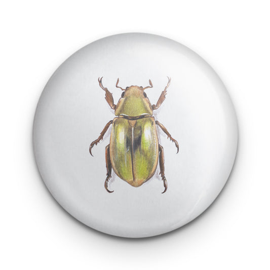 Golden Scarab Beetle Badge