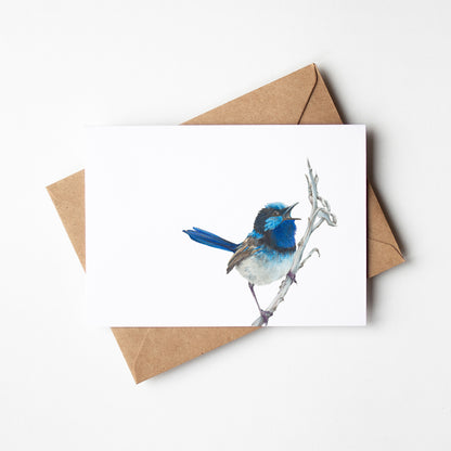 Birdlife Greeting Card 6 pack